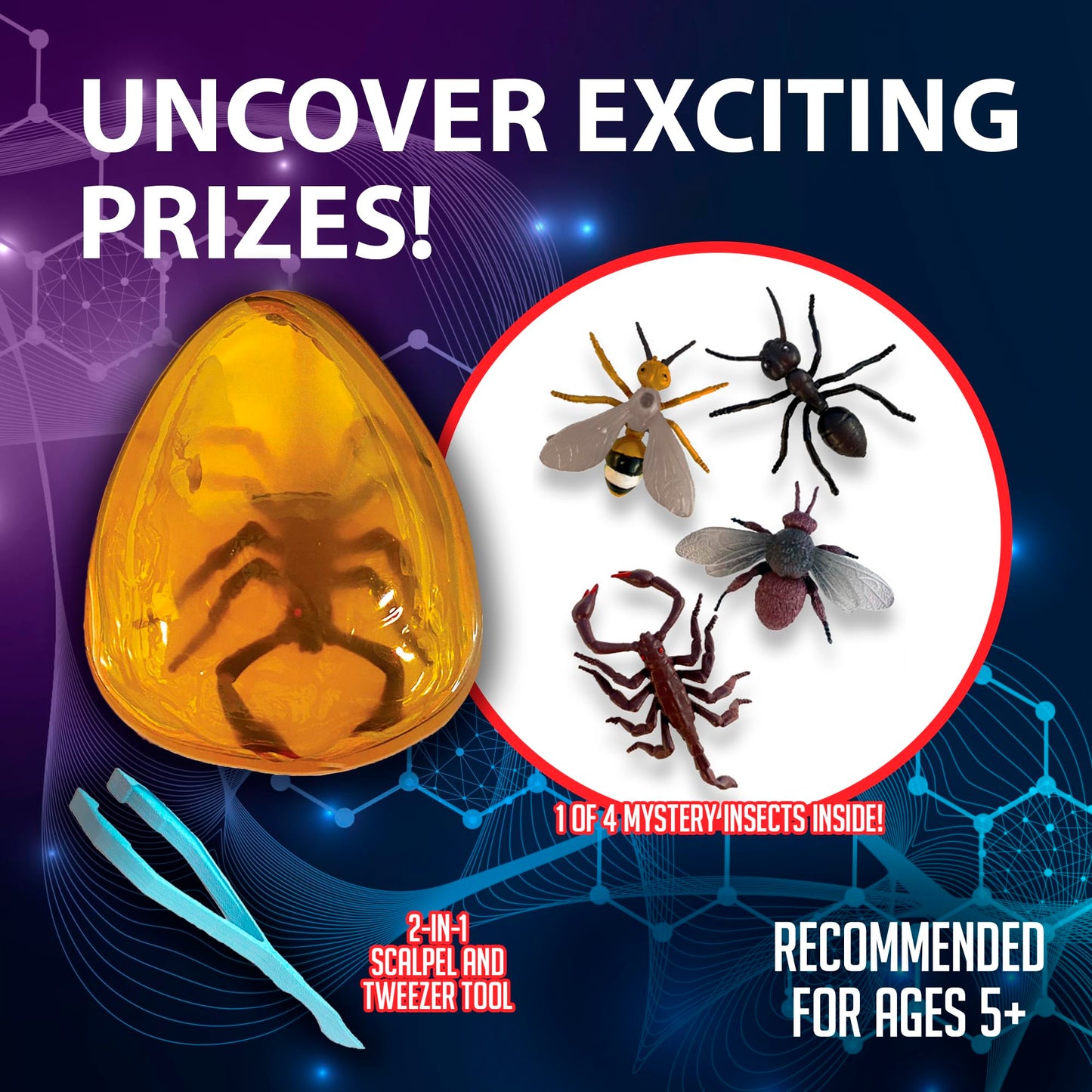 Dissect It Discover-It Amber Dissection Kit for Kids – Learn Insects