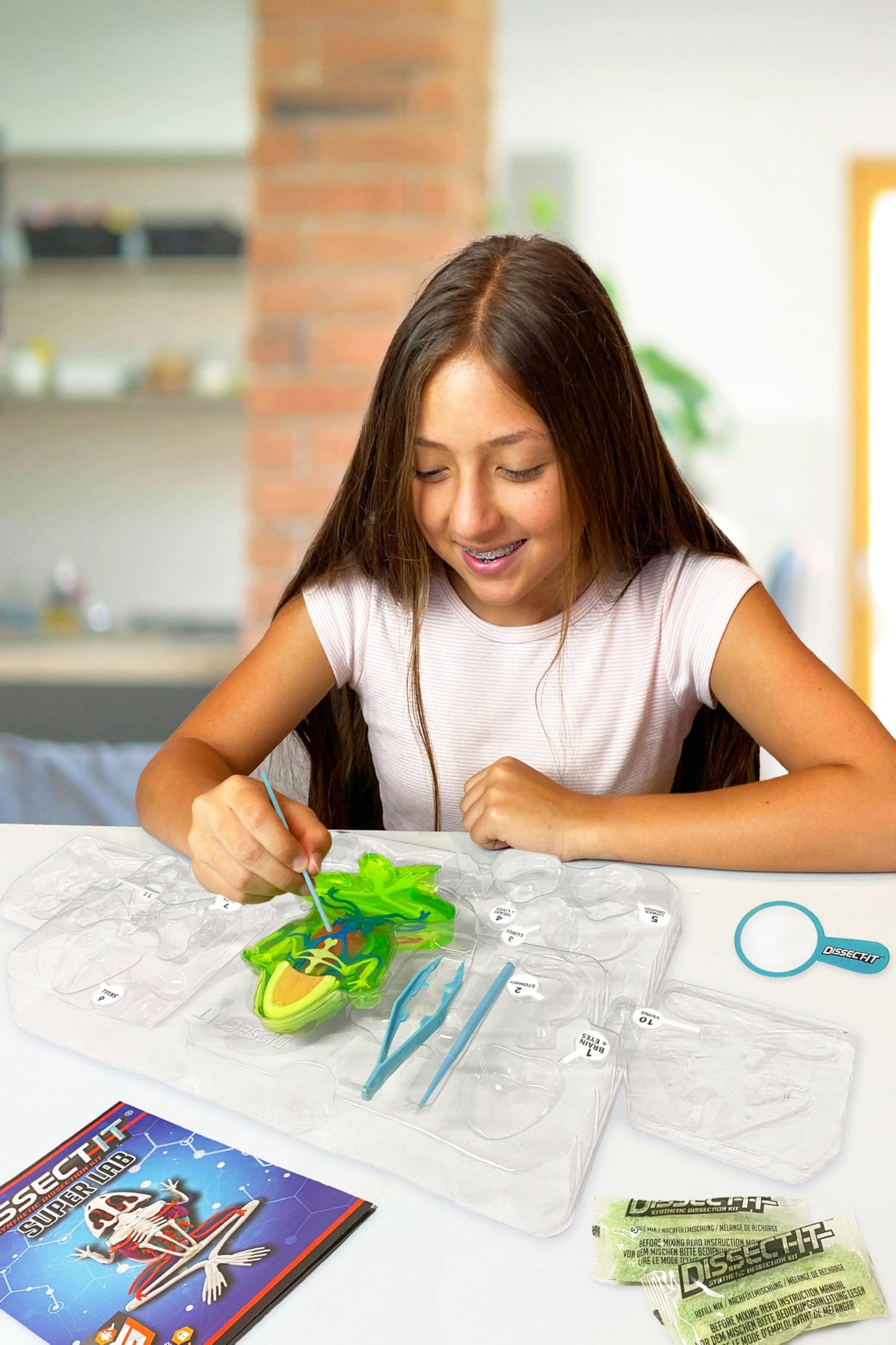 Dissect-It Kit for Kids: Simulated Frog Dissection Toy for STEM Biology & Anatomy