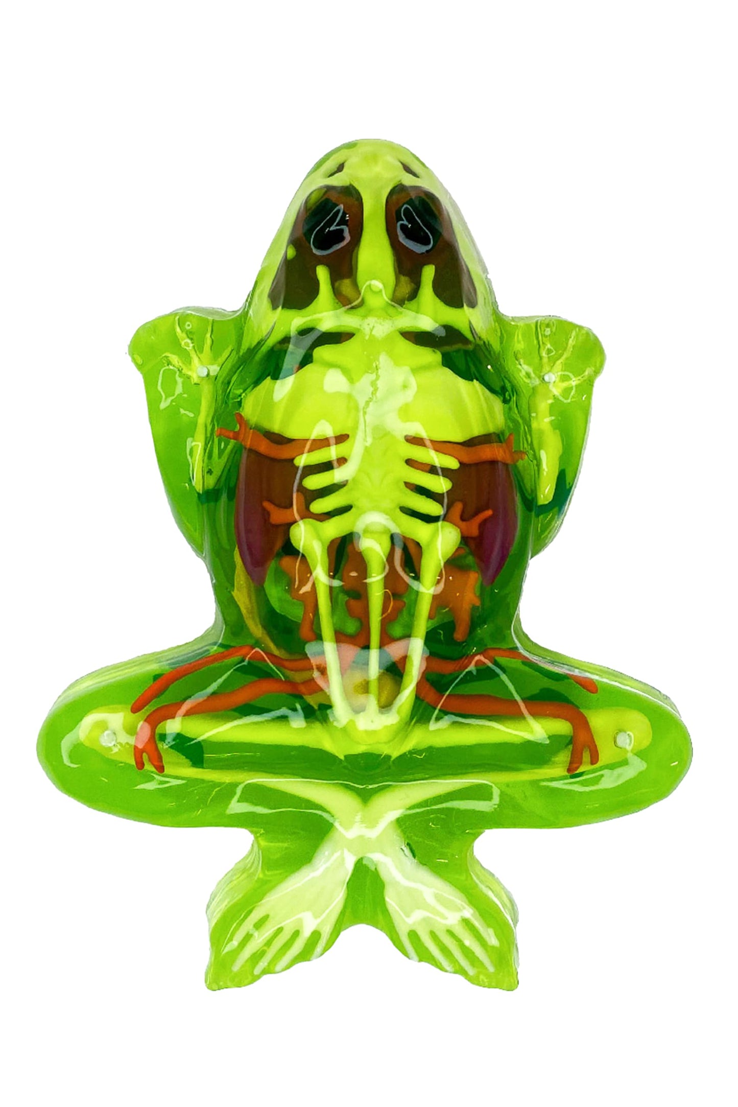 Dissect-It Kit for Kids: Simulated Frog Dissection Toy for STEM Biology & Anatomy