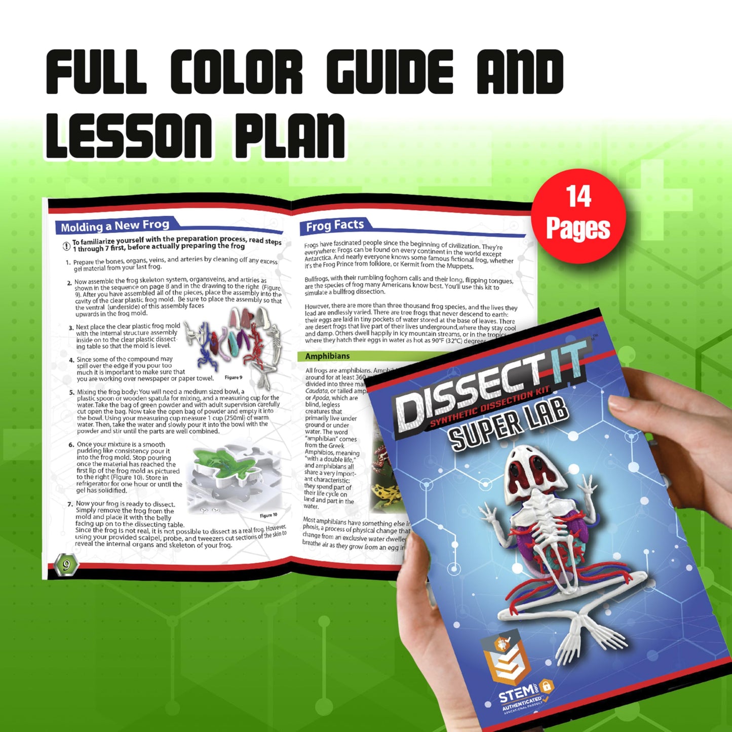 Dissect-It Kit for Kids: Simulated Frog Dissection Toy for STEM Biology & Anatomy