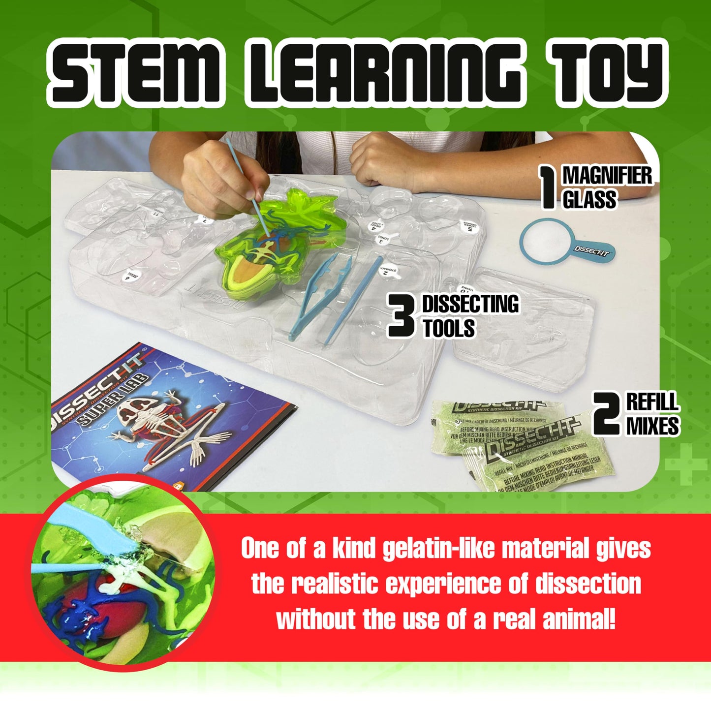 Dissect-It Kit for Kids: Simulated Frog Dissection Toy for STEM Biology & Anatomy