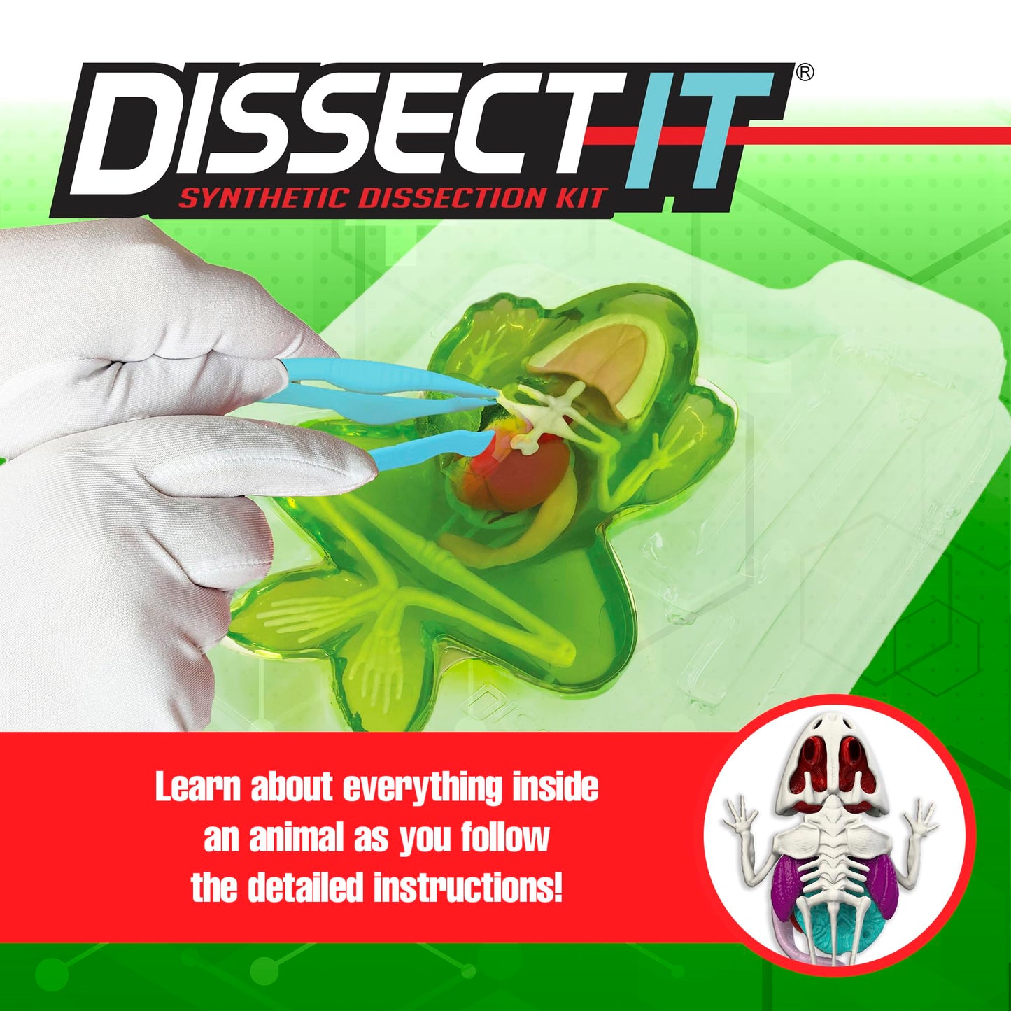 Dissect It Kit by Top Secret Toys — Safe Frog Dissection & STEM Learning for Kids 6+