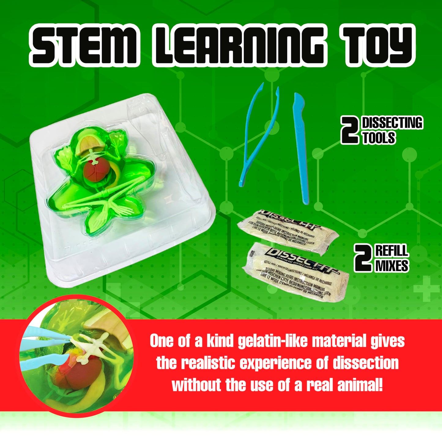 Dissect It Kit by Top Secret Toys — Safe Frog Dissection & STEM Learning for Kids 6+