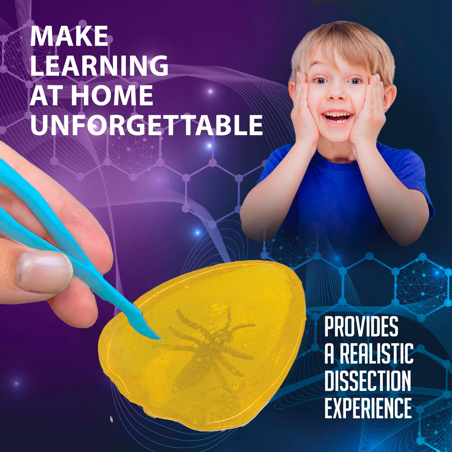 Dissect It Discover-It Amber Dissection Kit for Kids – Learn Insects