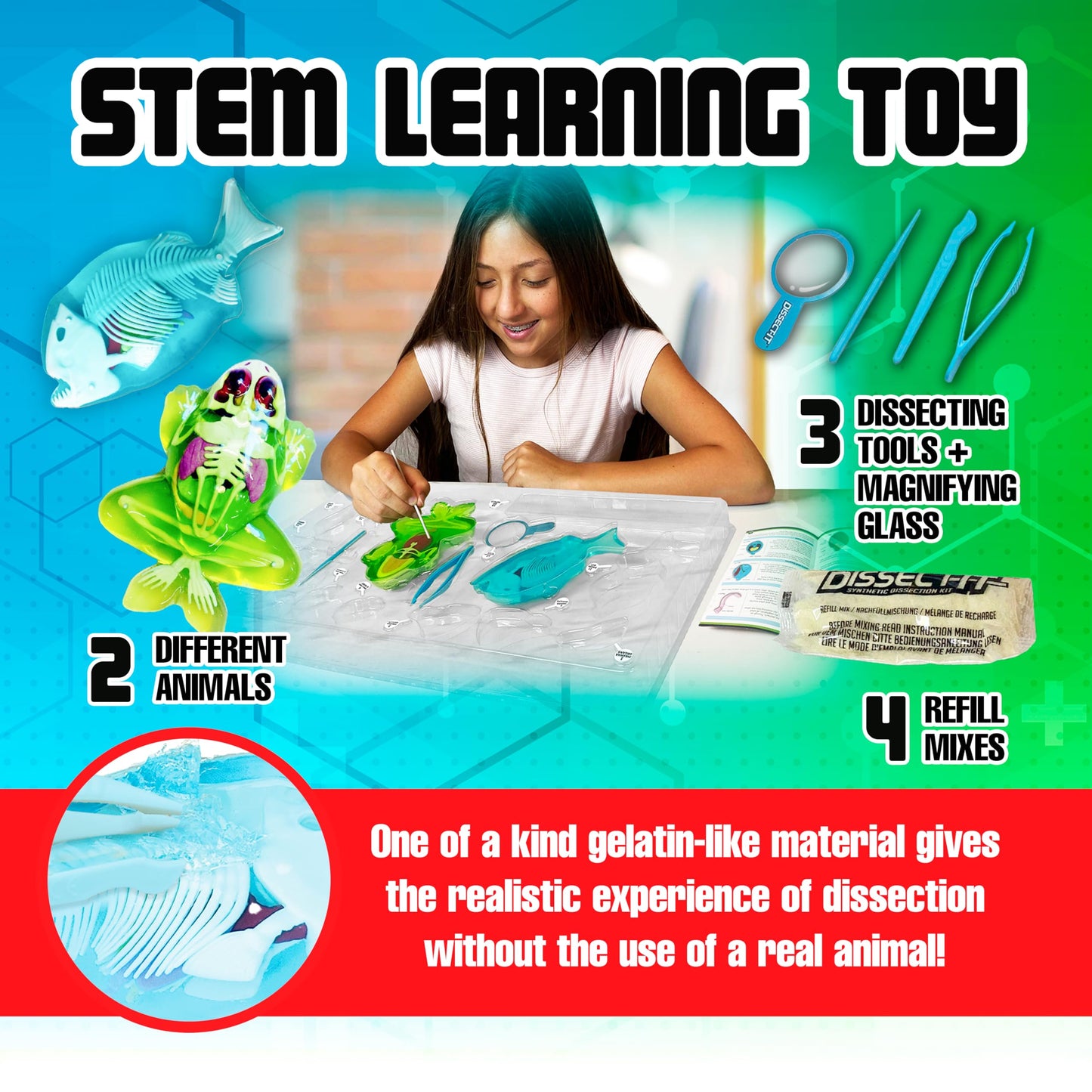 Dissect It Mega Lab Kit — Safe Frog & Piranha Dissection for Kids 6+