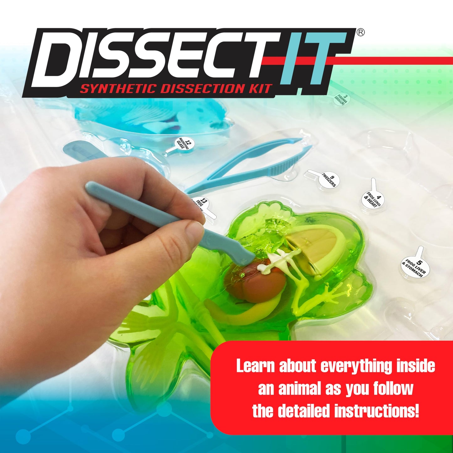Dissect It Mega Lab Kit — Safe Frog & Piranha Dissection for Kids 6+