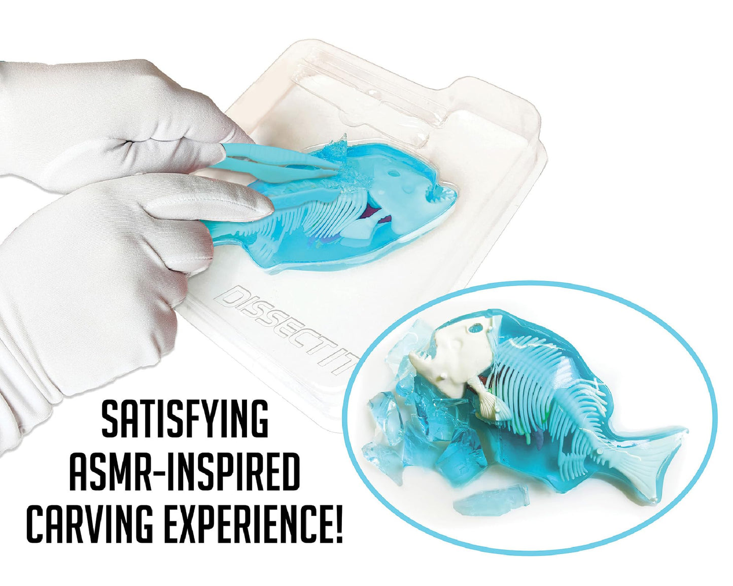 Dissect-It Piranha: Safe Simulated Lab Dissection Toy for Kids
