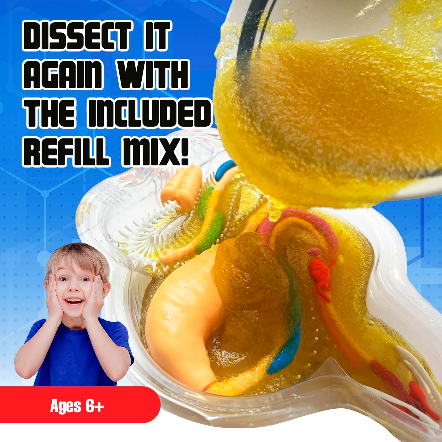 Dissect It Rattlesnake Super Lab Kit for Kids – Safe Synthetic Dissection, STEM Biology Toy