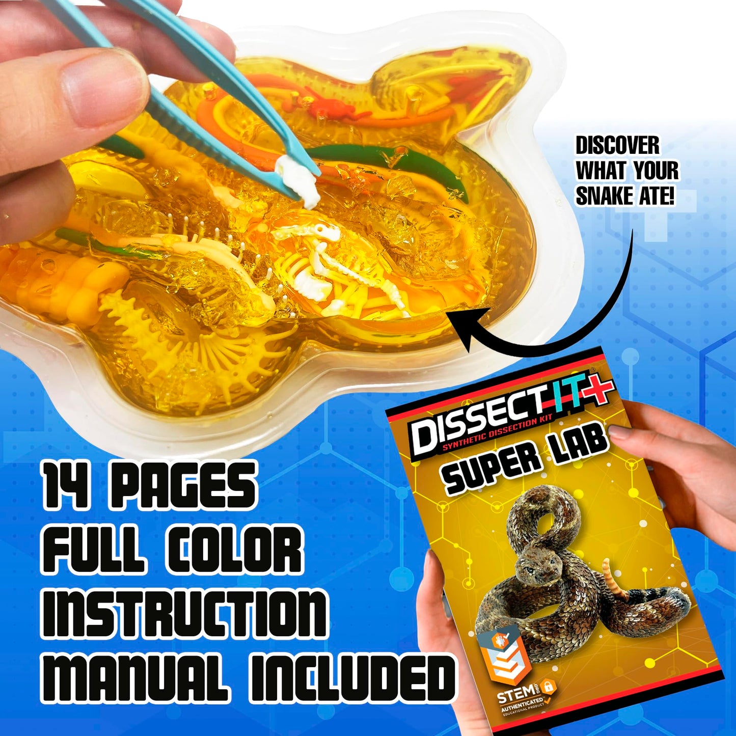Dissect It Rattlesnake Super Lab Kit for Kids – Safe Synthetic Dissection, STEM Biology Toy