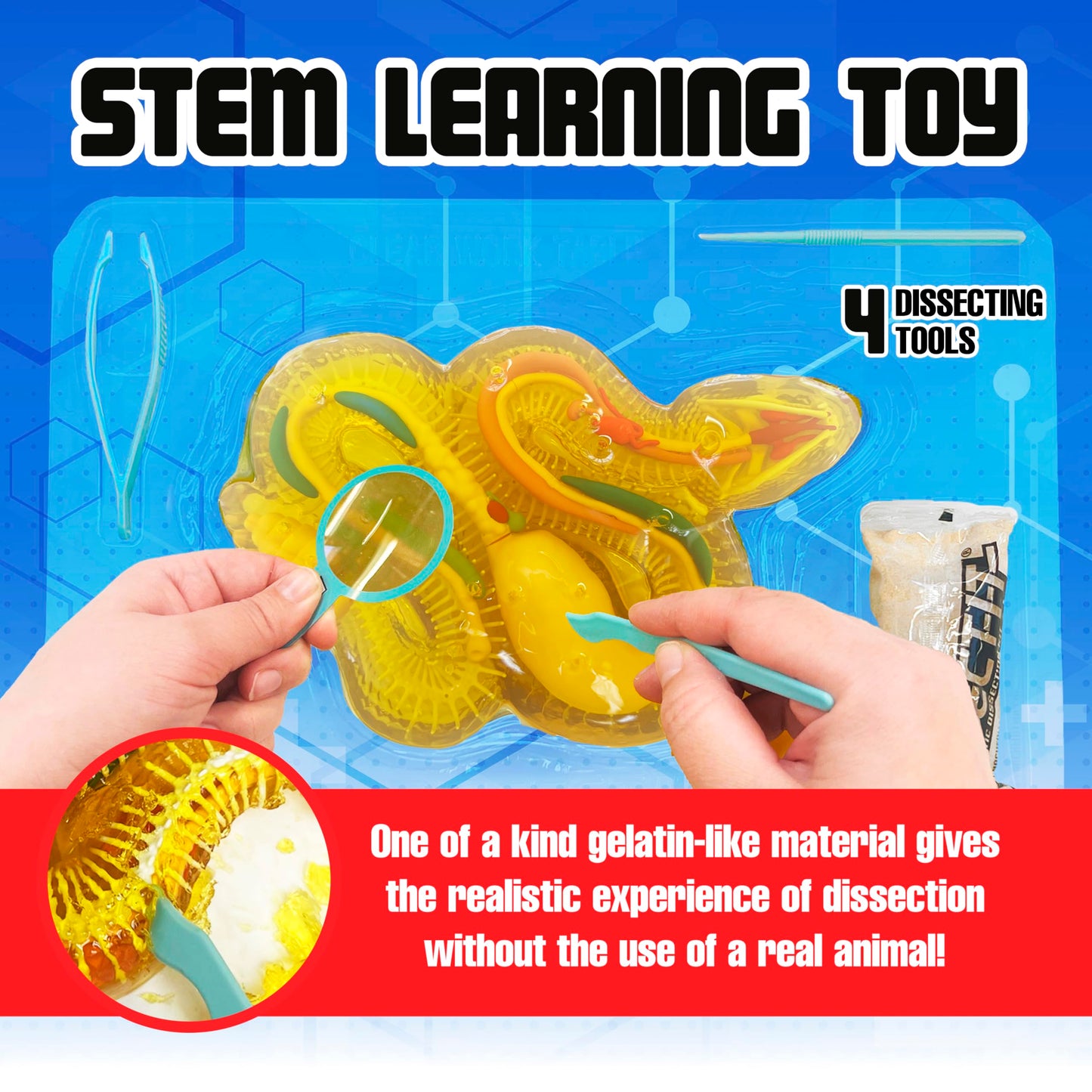 Dissect It Rattlesnake Super Lab Kit for Kids – Safe Synthetic Dissection, STEM Biology Toy