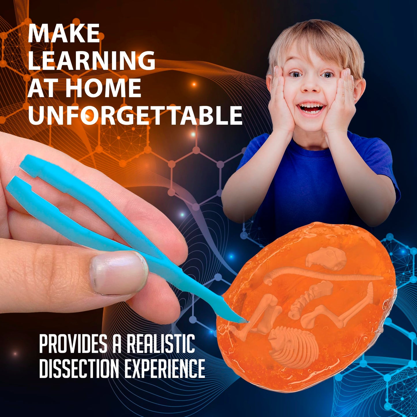 Dissect It Discover-It Owl Pellet Dissection Kit for Kids – STEM Learning Toy