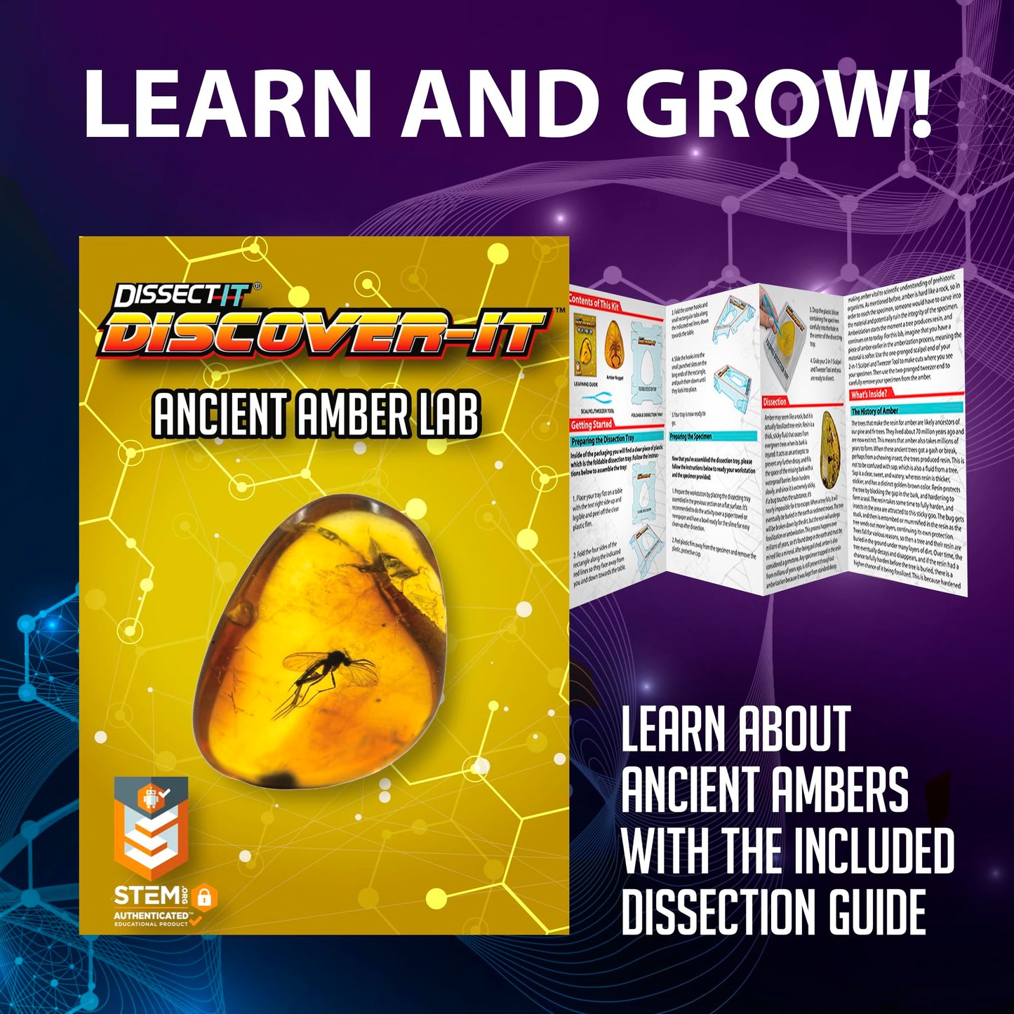 Dissect It Discover-It Amber Dissection Kit for Kids – Learn Insects