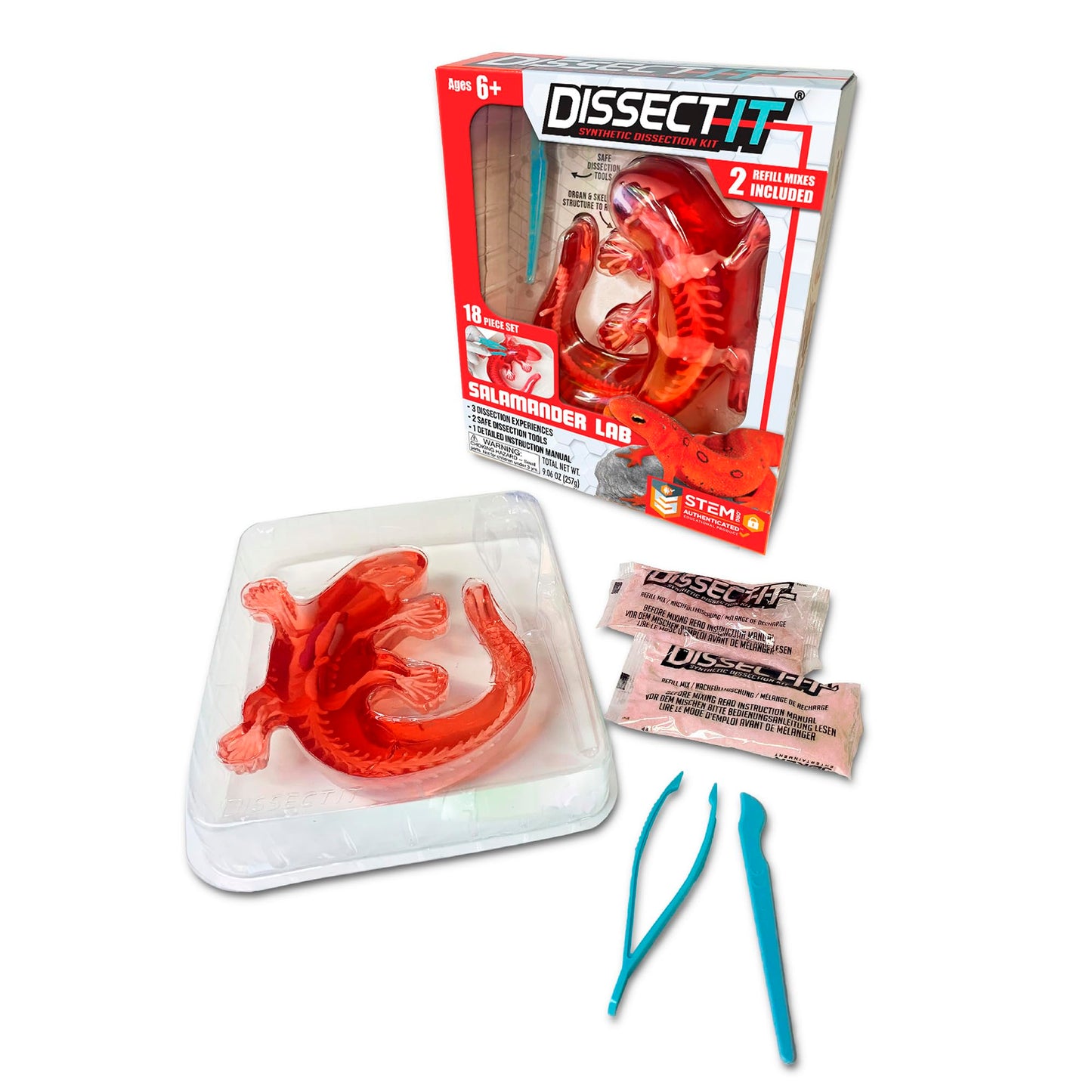 Dissect-It Salamander Kit for Kids – Safe Simulated Lab Dissection Toy | STEM Anatomy