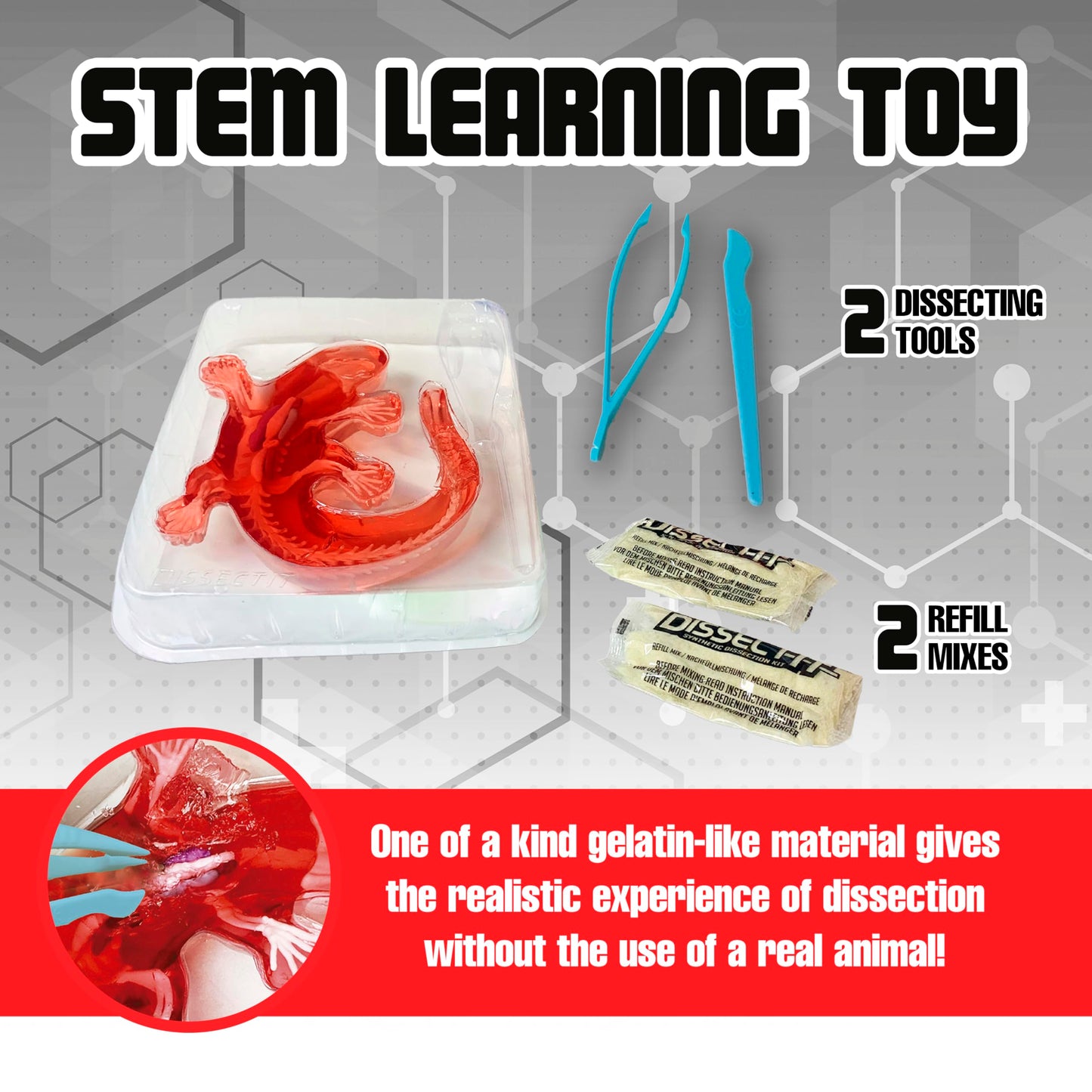 Dissect-It Salamander Kit for Kids – Safe Simulated Lab Dissection Toy | STEM Anatomy