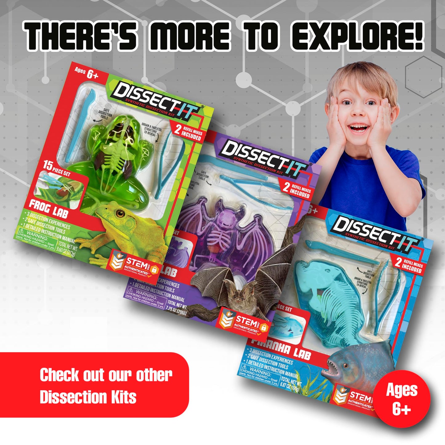 Dissect-It Salamander Kit for Kids – Safe Simulated Lab Dissection Toy | STEM Anatomy