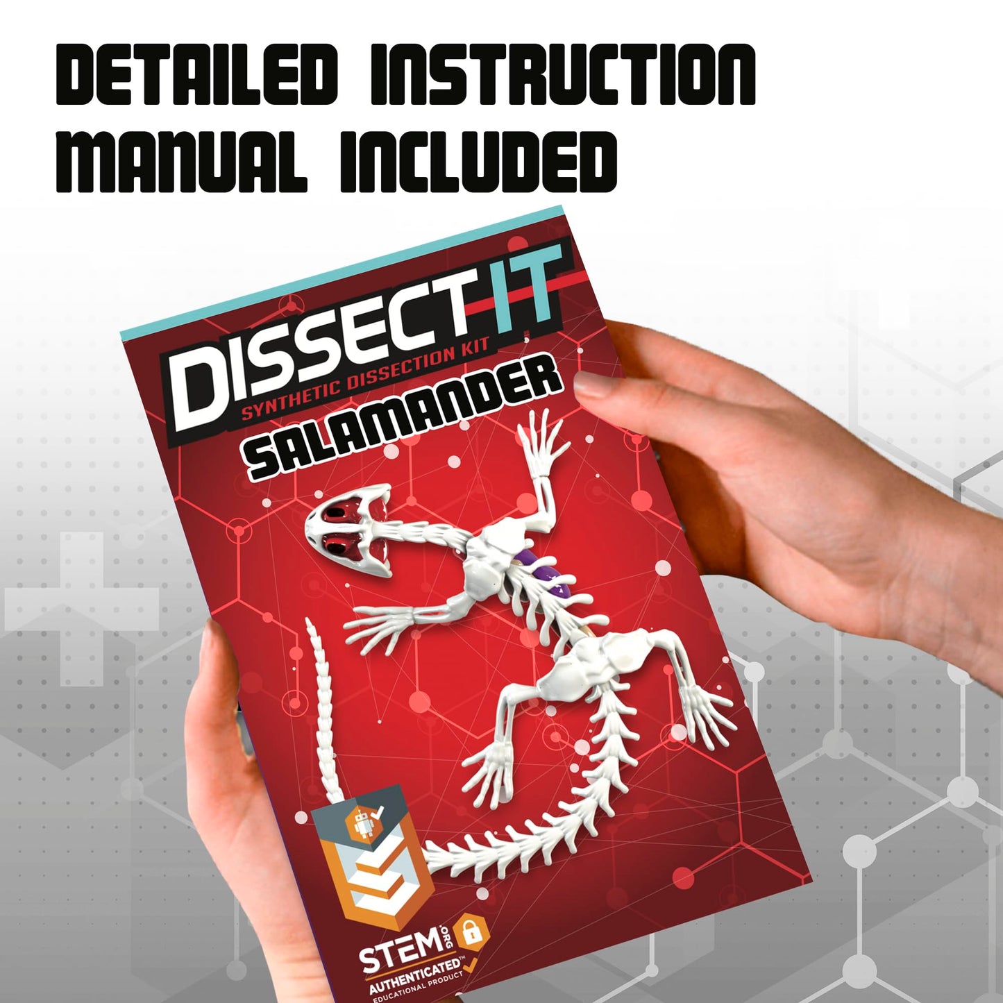 Dissect-It Salamander Kit for Kids – Safe Simulated Lab Dissection Toy | STEM Anatomy