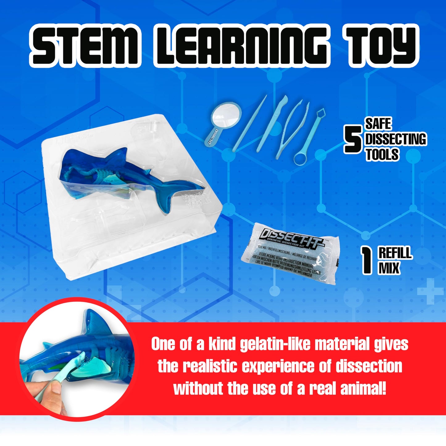 Dissect-It Super Shark Lab Dissection Kit – 40-Piece Realistic Marine Skeleton for Kids 6+ | Reusable STEM Toy
