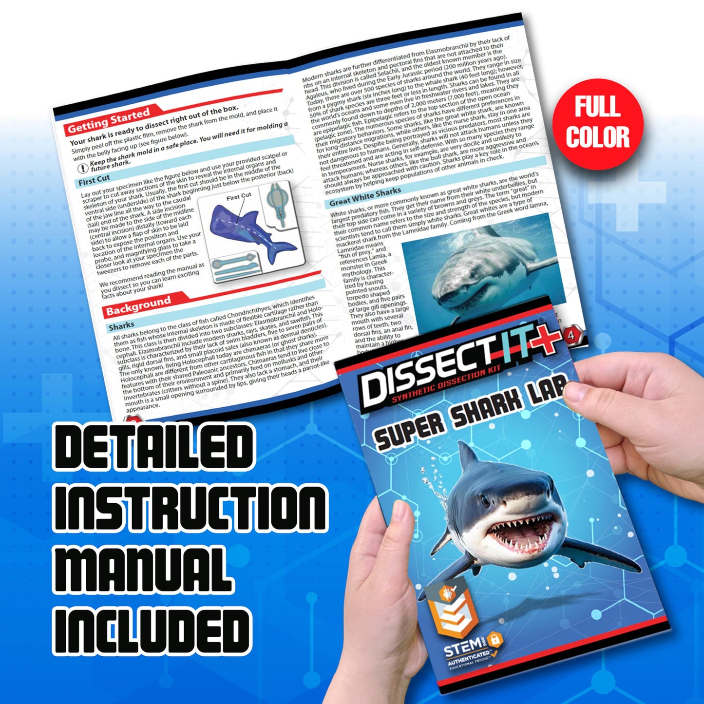 Dissect-It Super Shark Lab Dissection Kit – 40-Piece Realistic Marine Skeleton for Kids 6+ | Reusable STEM Toy
