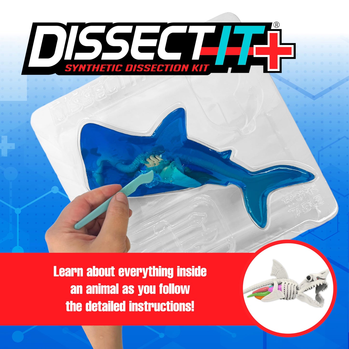 Dissect-It Super Shark Lab Dissection Kit – 40-Piece Realistic Marine Skeleton for Kids 6+ | Reusable STEM Toy