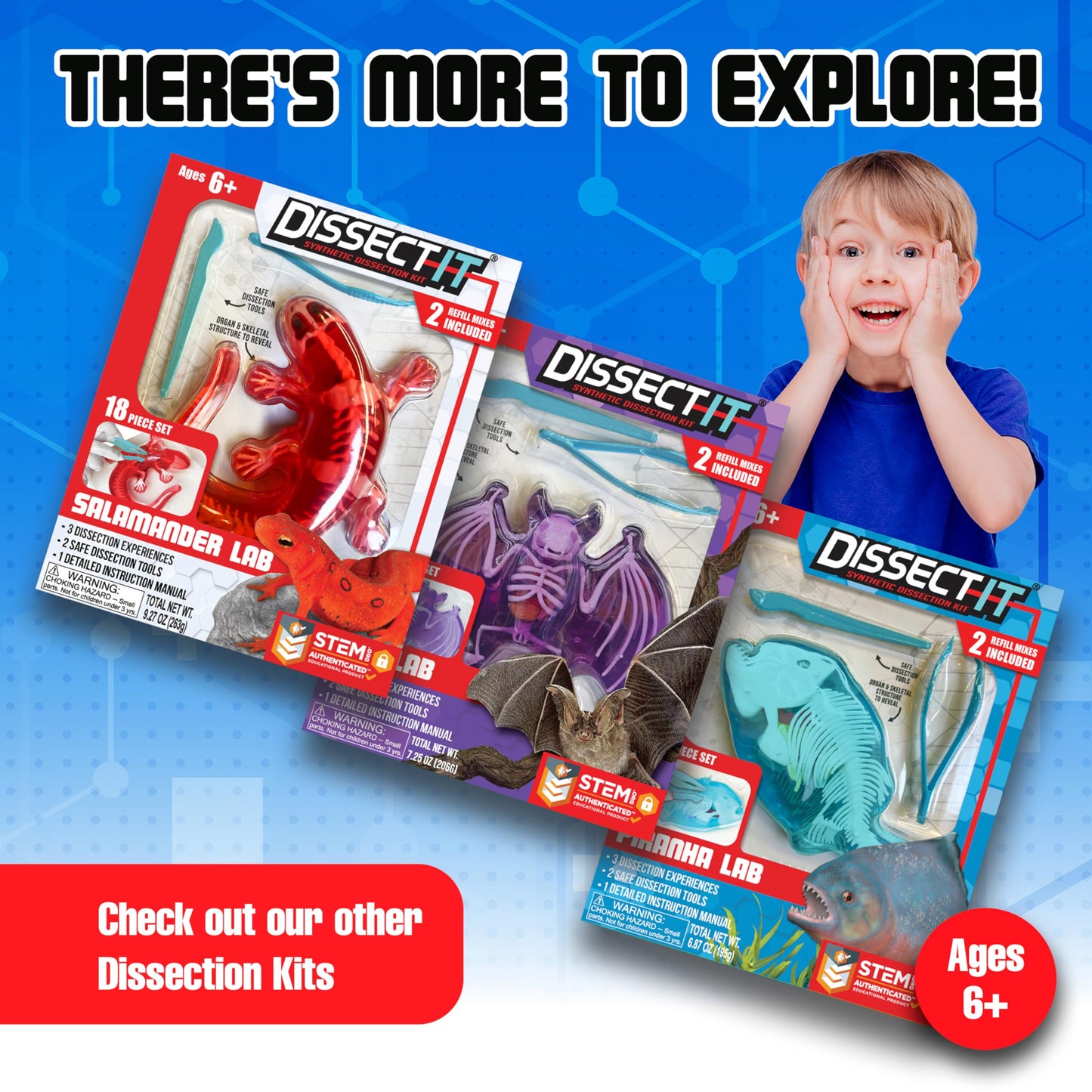 Dissect-It Super Shark Lab Dissection Kit – 40-Piece Realistic Marine Skeleton for Kids 6+ | Reusable STEM Toy