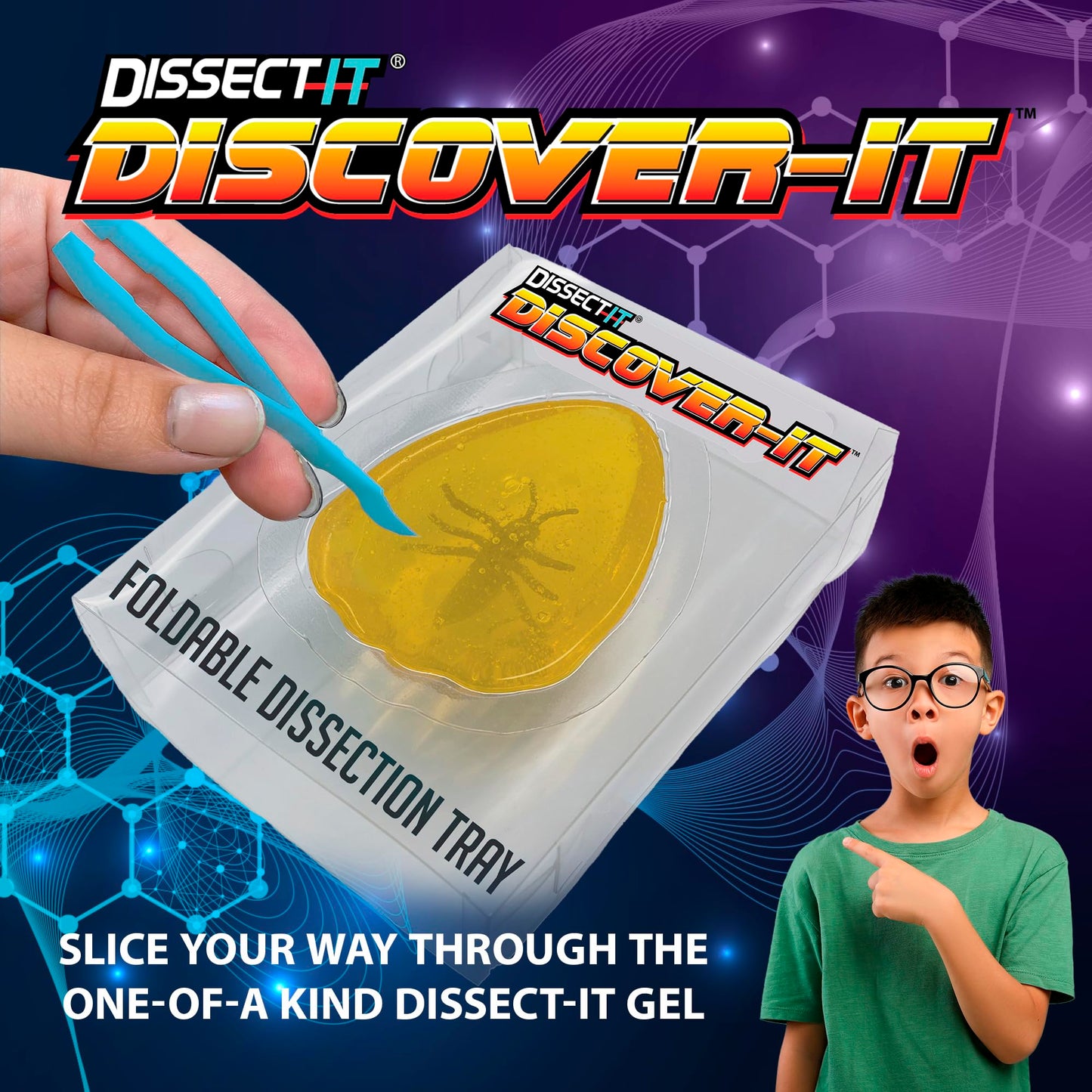 Dissect It Discover-It Amber Dissection Kit for Kids – Learn Insects
