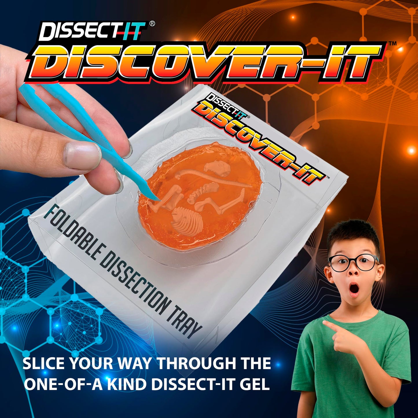 Dissect It Discover-It Owl Pellet Dissection Kit for Kids – STEM Learning Toy