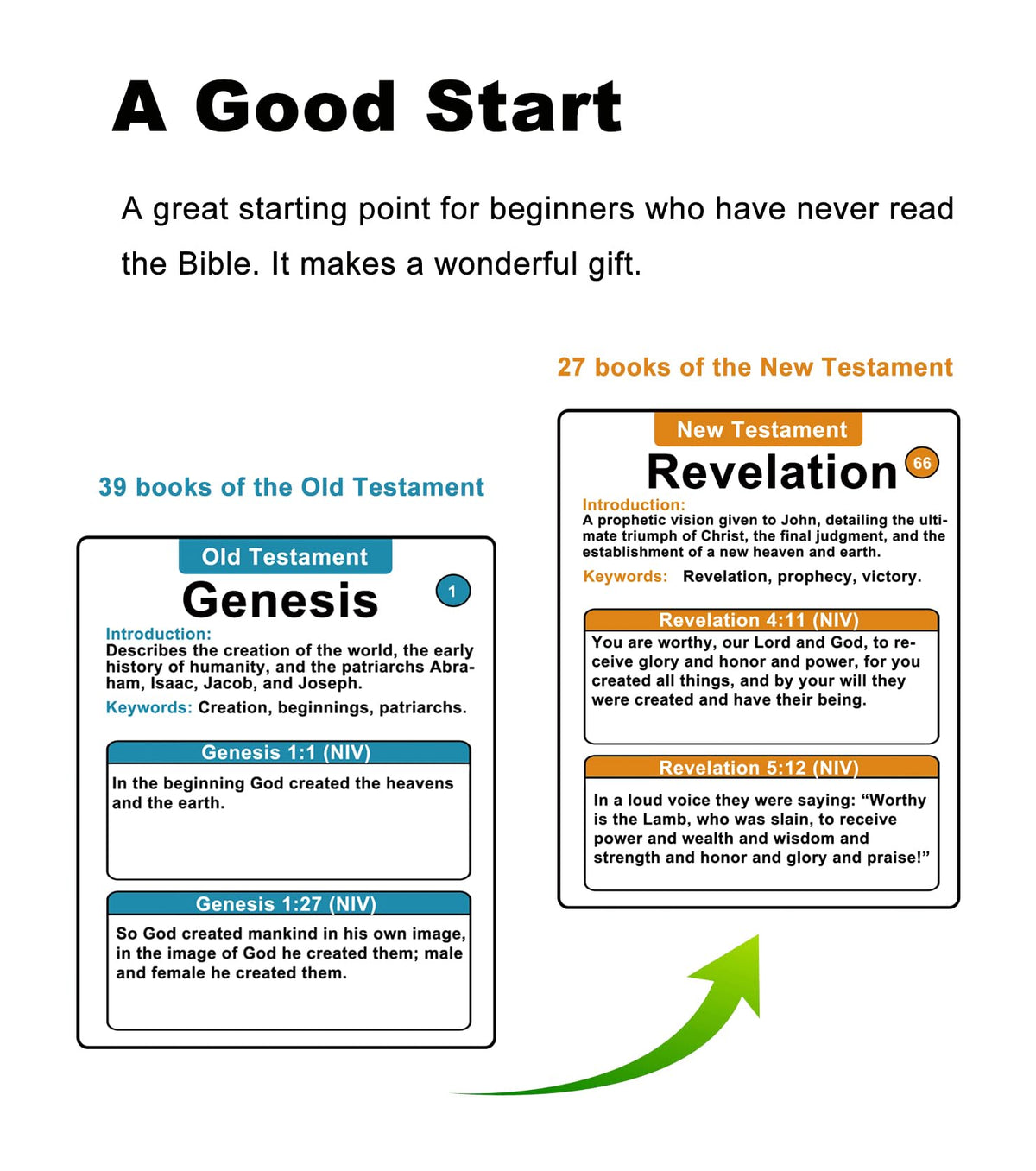 Docdeer Bible 66 Books Flash Cards – 330 Verses & Essential Book Details