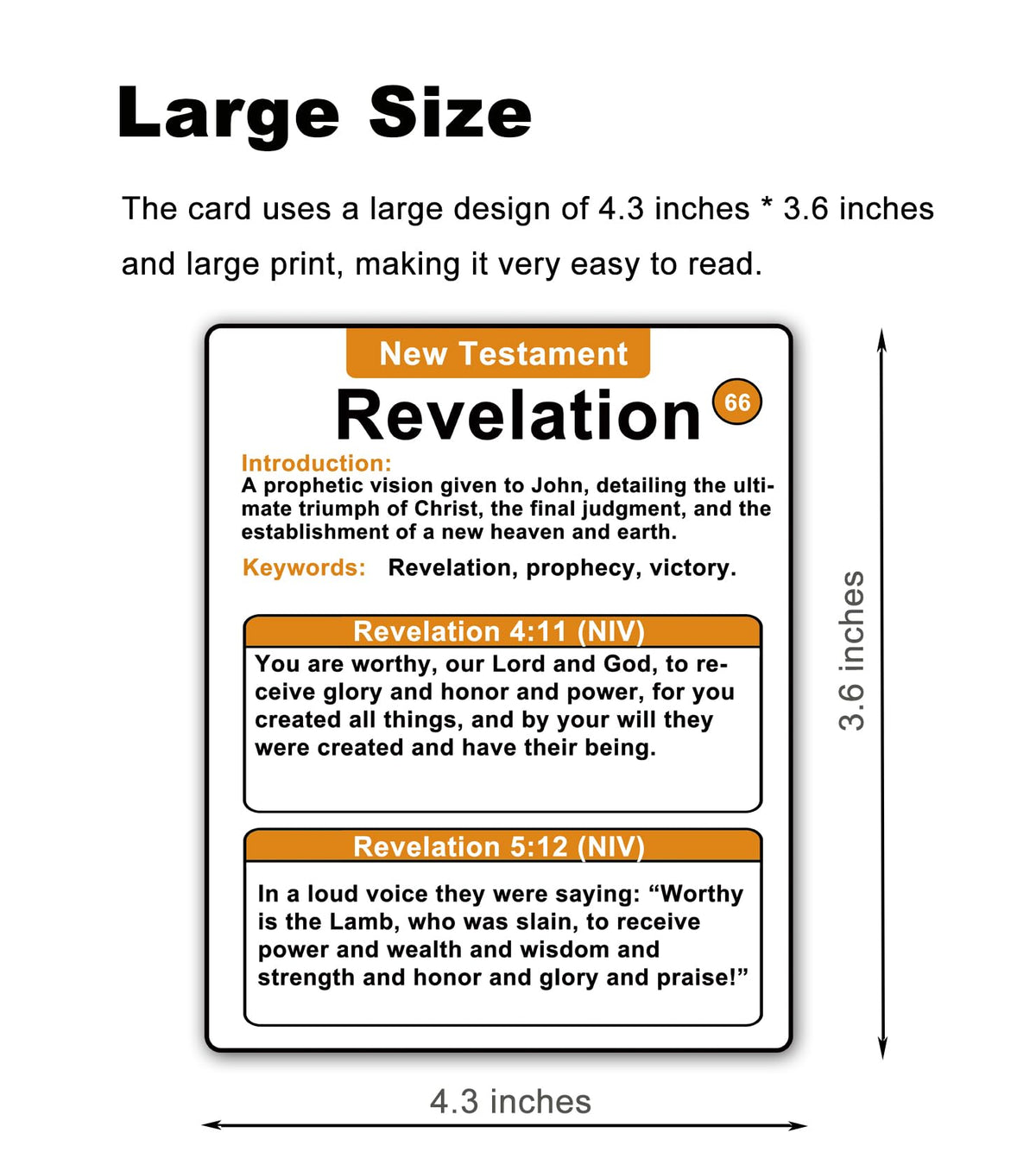 Docdeer Bible 66 Books Flash Cards – 330 Verses & Essential Book Details