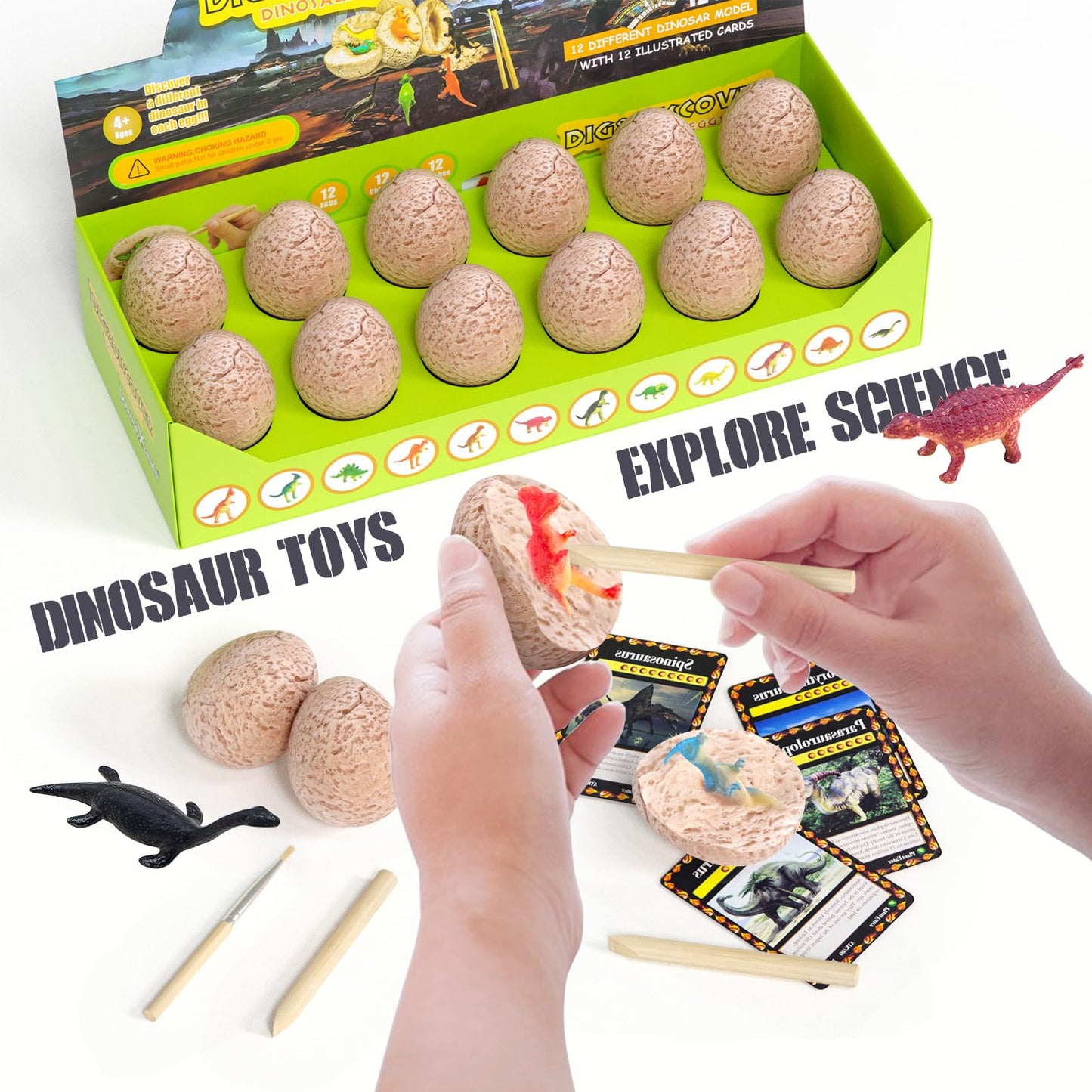 DoDoMagxanadu Dinosaur Eggs Dig Kit – 12 Dino Eggs Excavation Toy for Kids 3–12