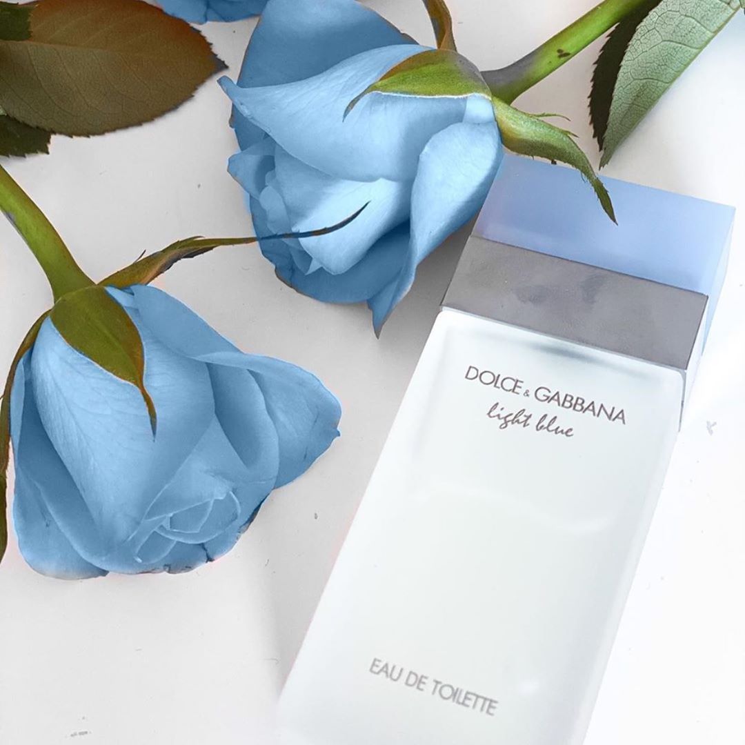 Dolce & Gabbana Light Blue Eau De  Toilette 50ml Spray