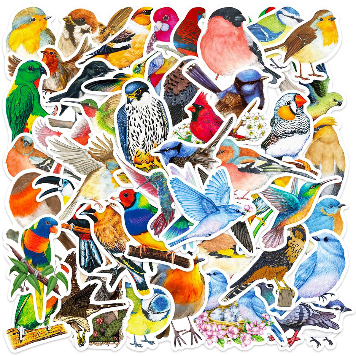 DothRayan 100 Pcs Birds Stickers – Waterproof Vinyl Bird Stickers for Laptops, Water Bottles, Skates & Luggage