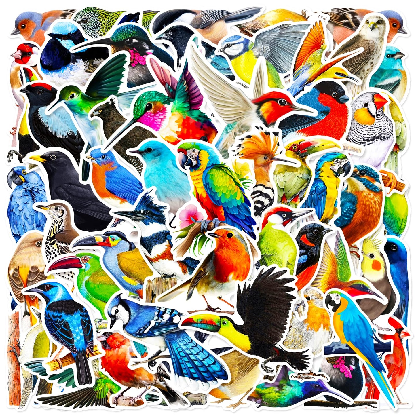 DothRayan 100 Pcs Birds Stickers – Waterproof Vinyl Bird Stickers for Laptops, Water Bottles, Skates & Luggage