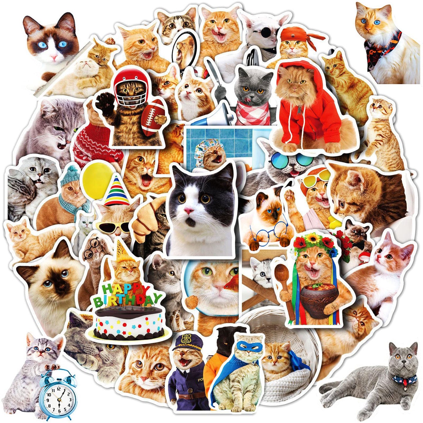 DothRayan Cat Stickers – 100 Pcs Vinyl Waterproof Sticker Pack for Laptops & More