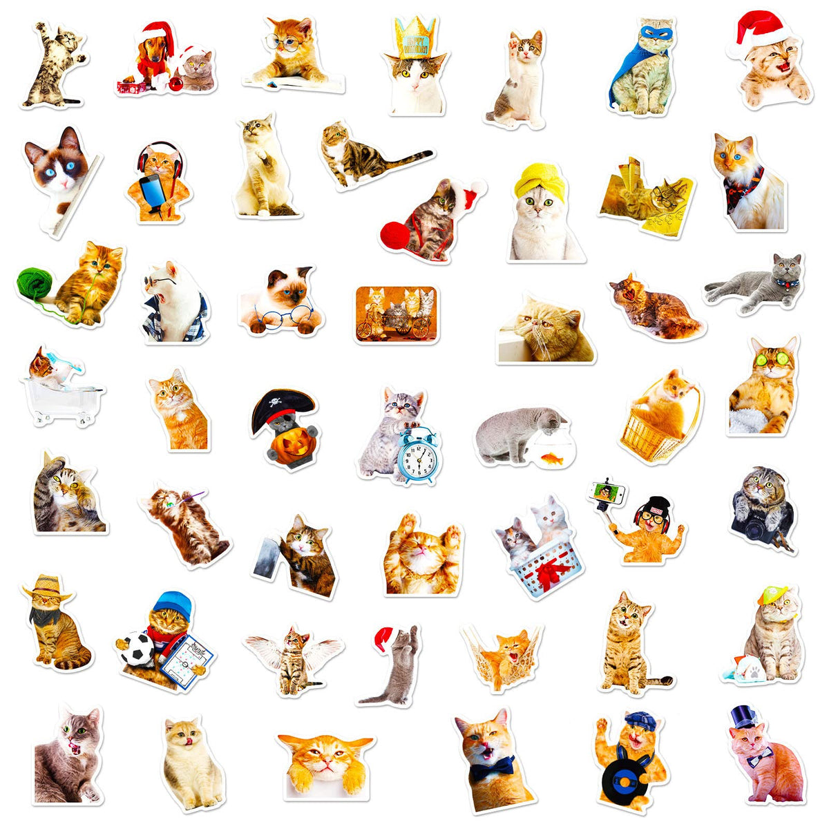 DothRayan Cat Stickers – 100 Pcs Vinyl Waterproof Sticker Pack for Laptops & More