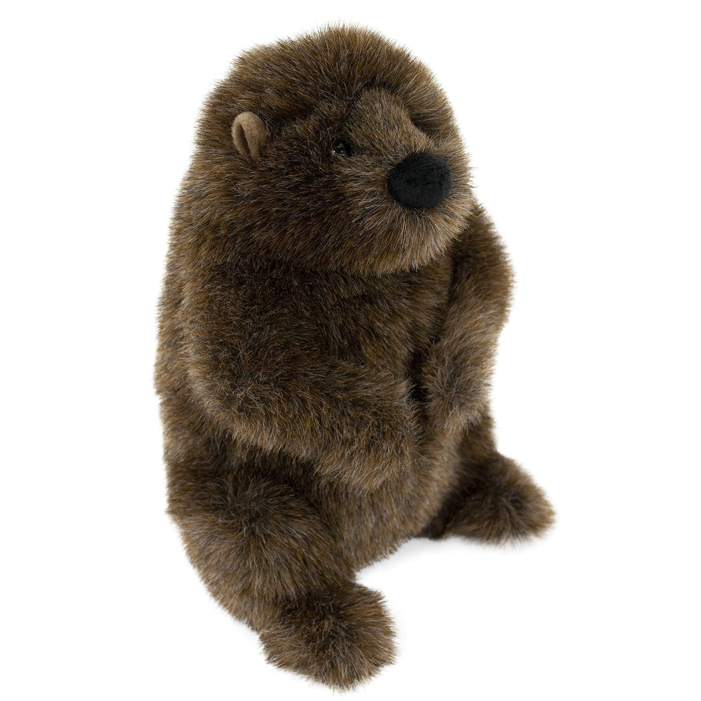 Douglas Chuckwood Groundhog Plush Stuffed Animal — 11-Inch Cuddle Toy