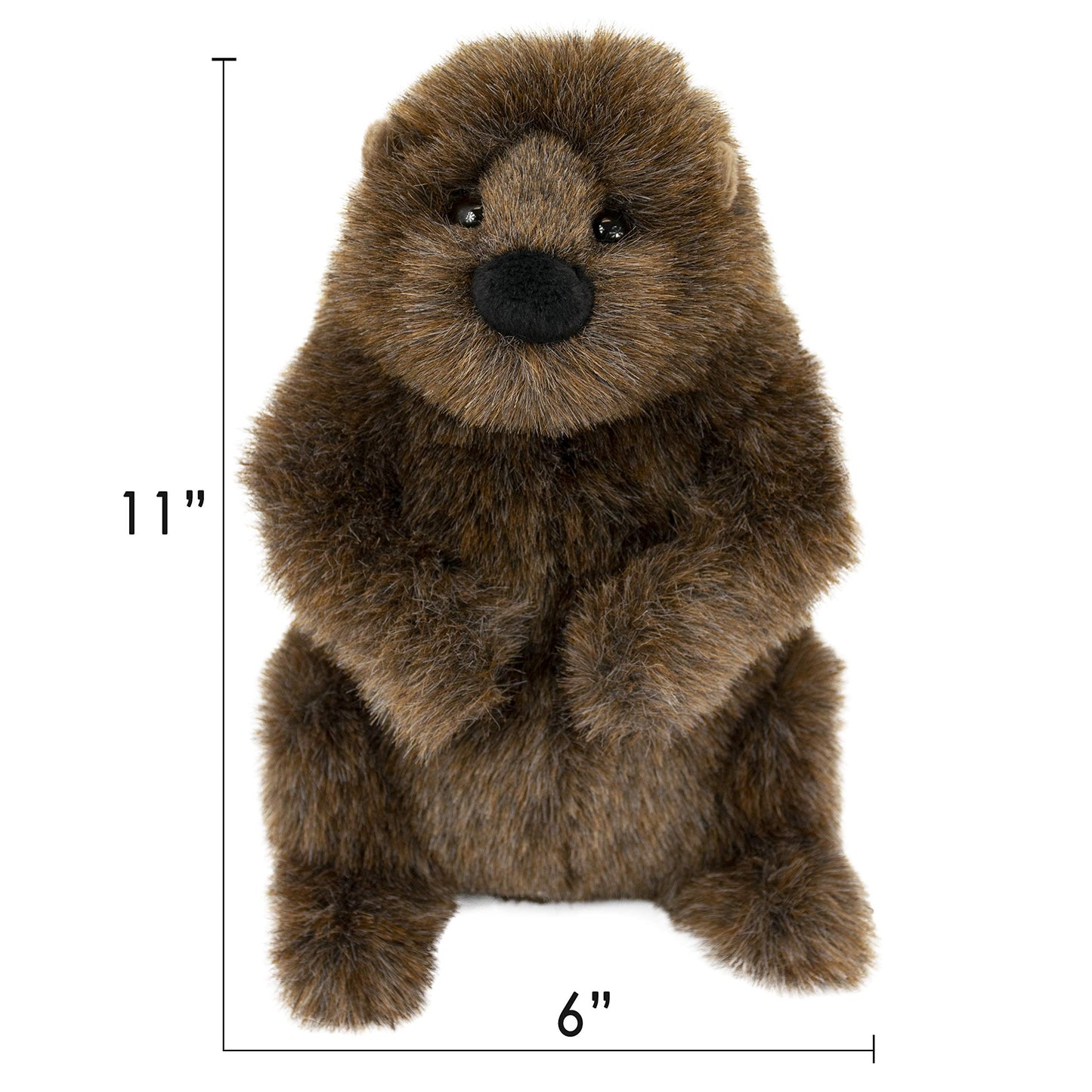 Douglas Chuckwood Groundhog Plush Stuffed Animal — 11-Inch Cuddle Toy