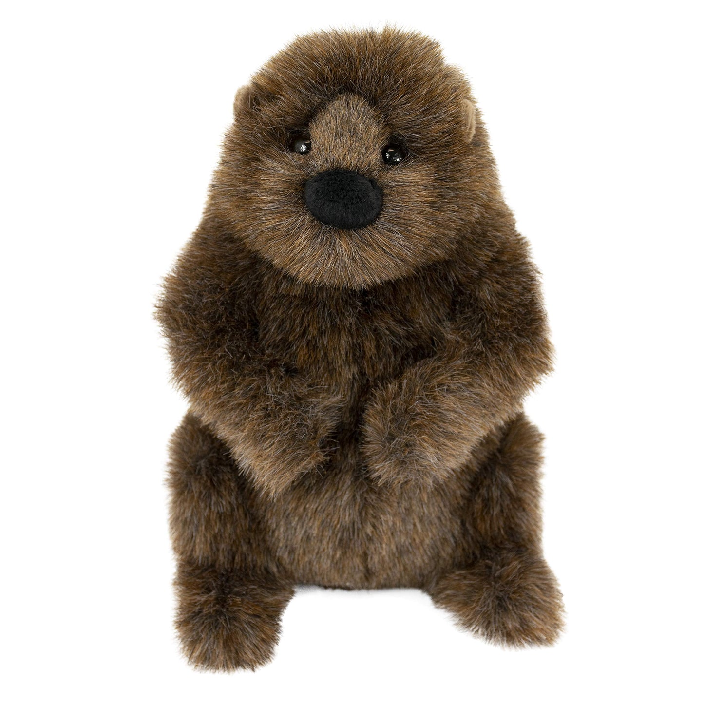 Douglas Chuckwood Groundhog Plush Stuffed Animal — 11-Inch Cuddle Toy