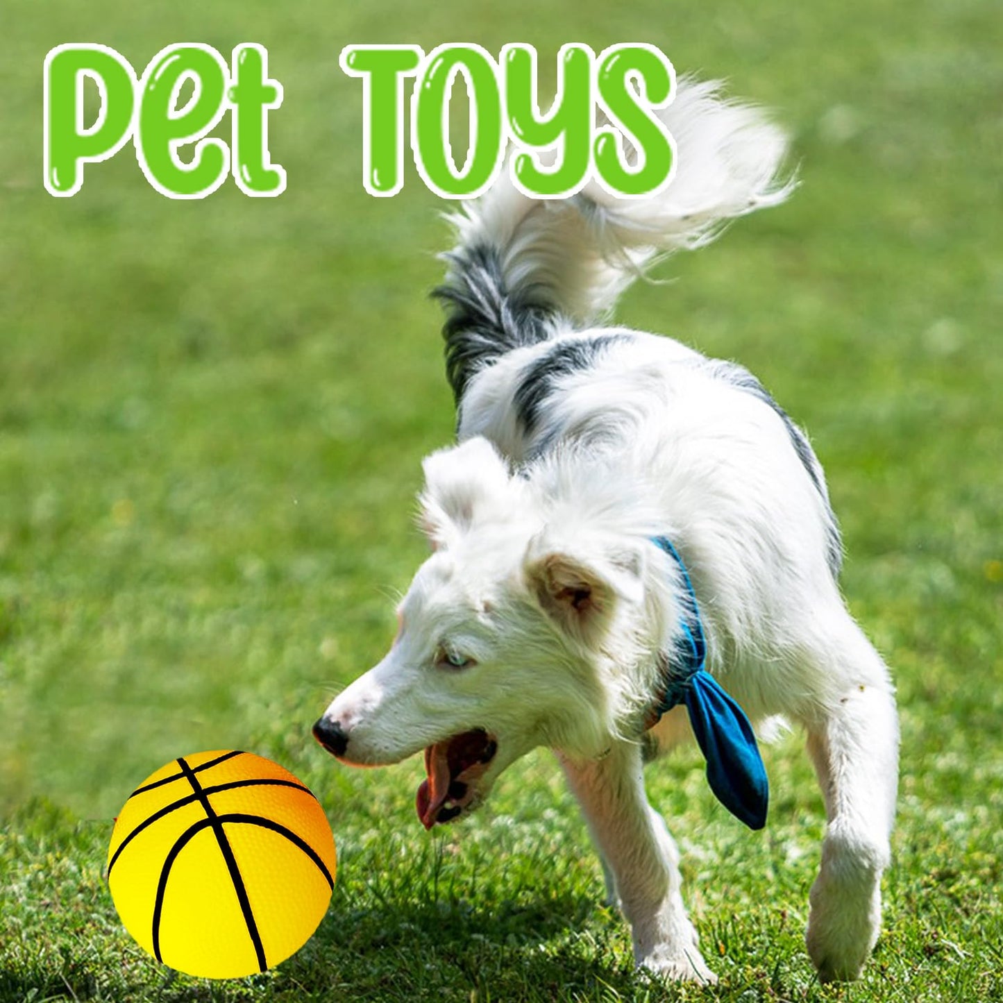 Dshengoo 6Pcs 5-Inch Mini Inflatable Basketballs with Pump | Colorful Rubber Balls for Kids