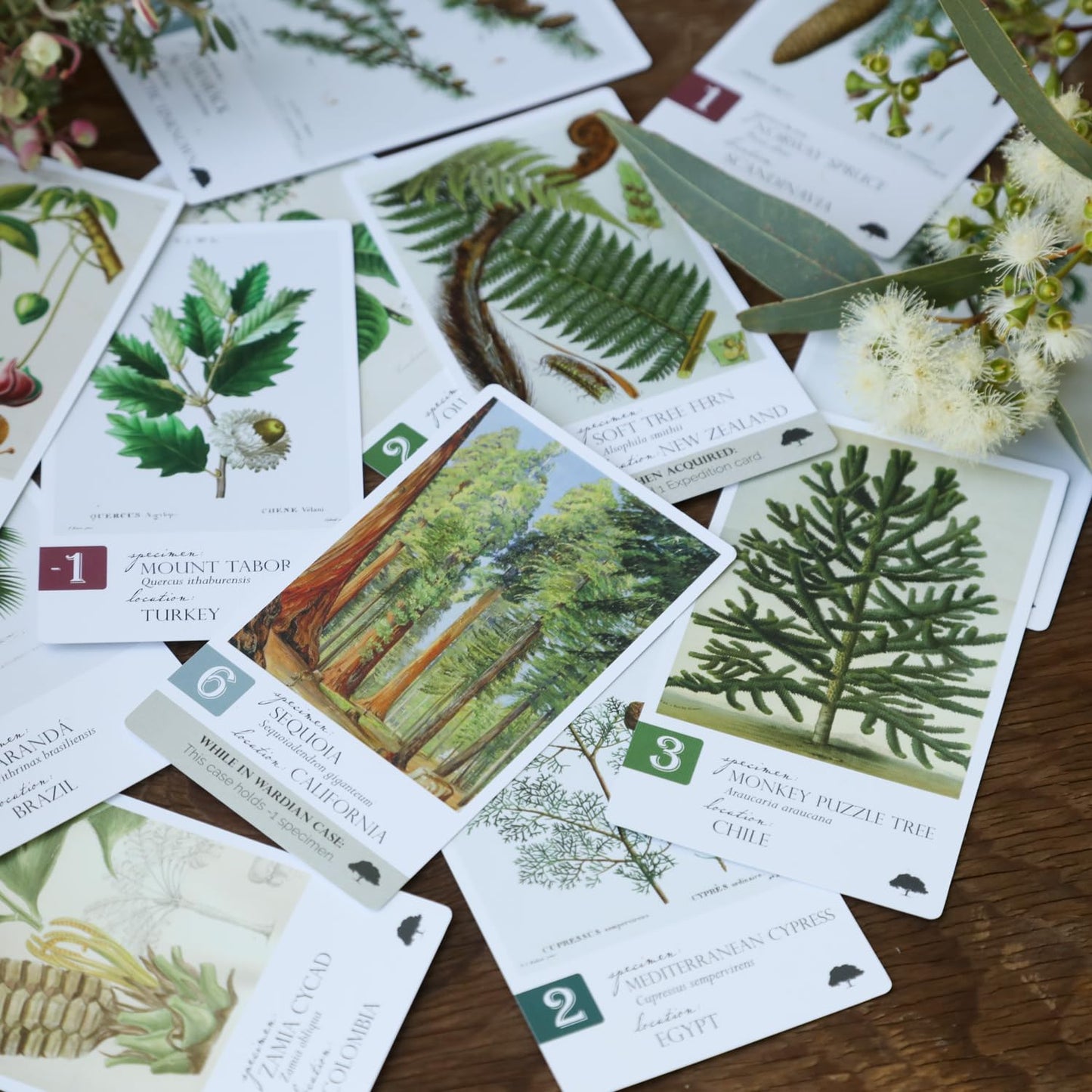 Dux Somnium Botany: Tantalizing Trees Expansion – Family Strategy Game Add-On