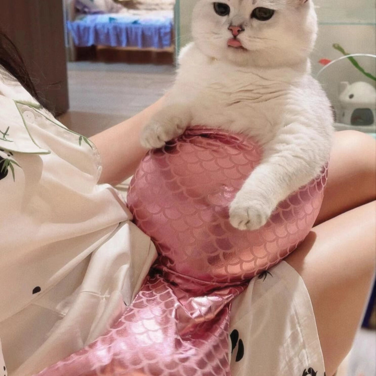 Mermaid Tail Cat Fishtail Decoration