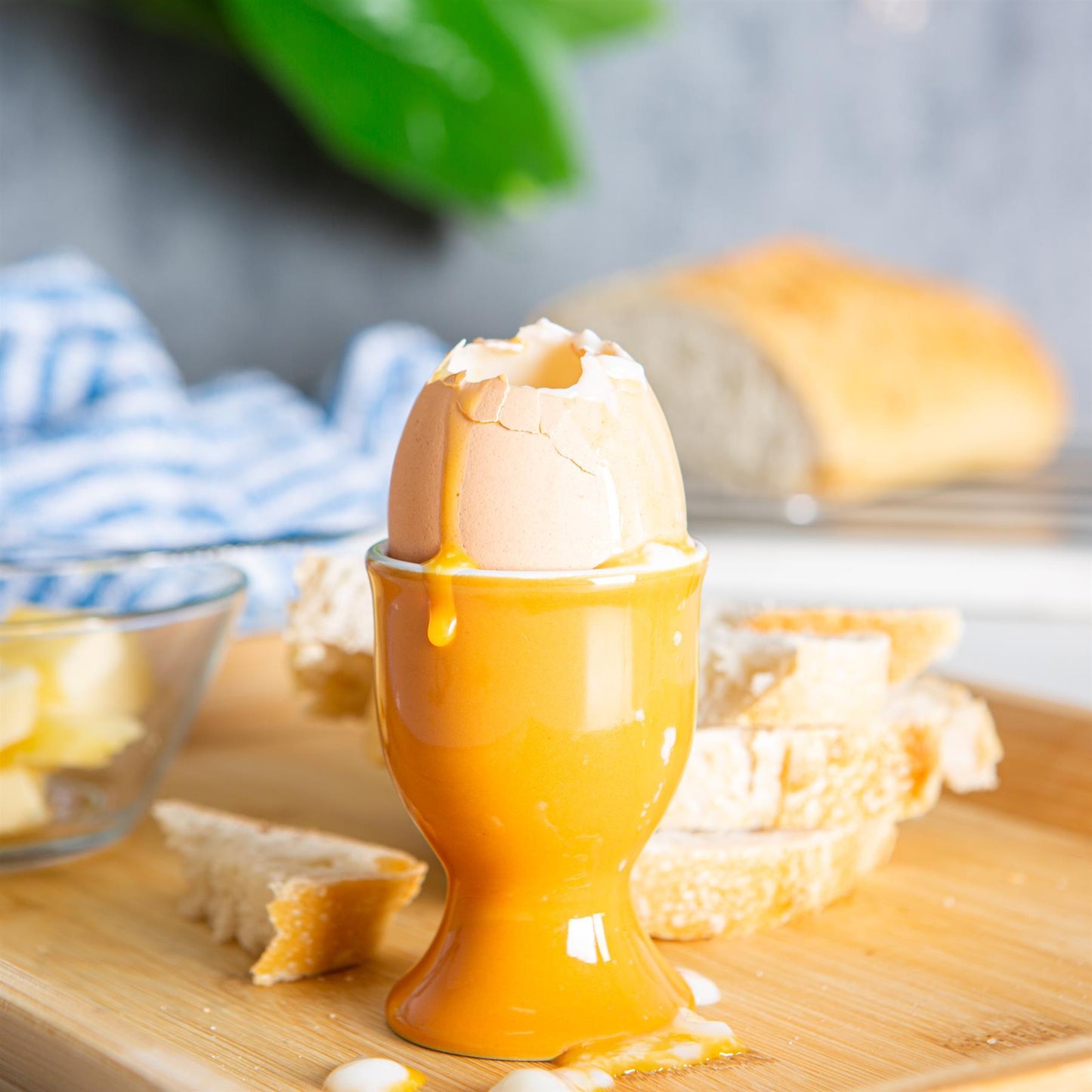 Coloured Stoneware Egg Cups - Pack of Six