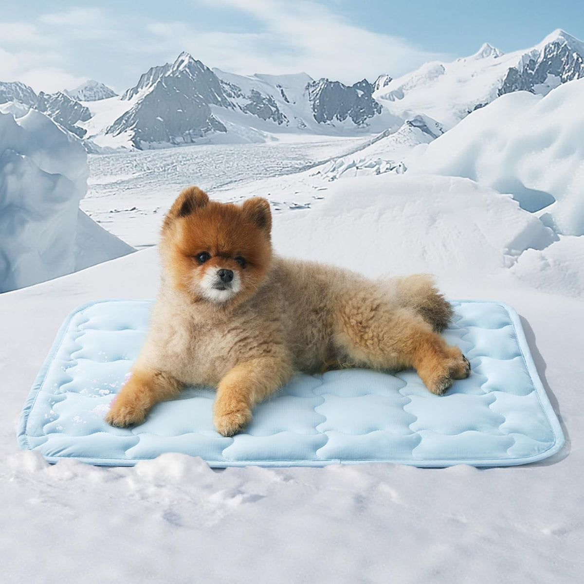 Machine-washable Cooling Pet Ice Mat