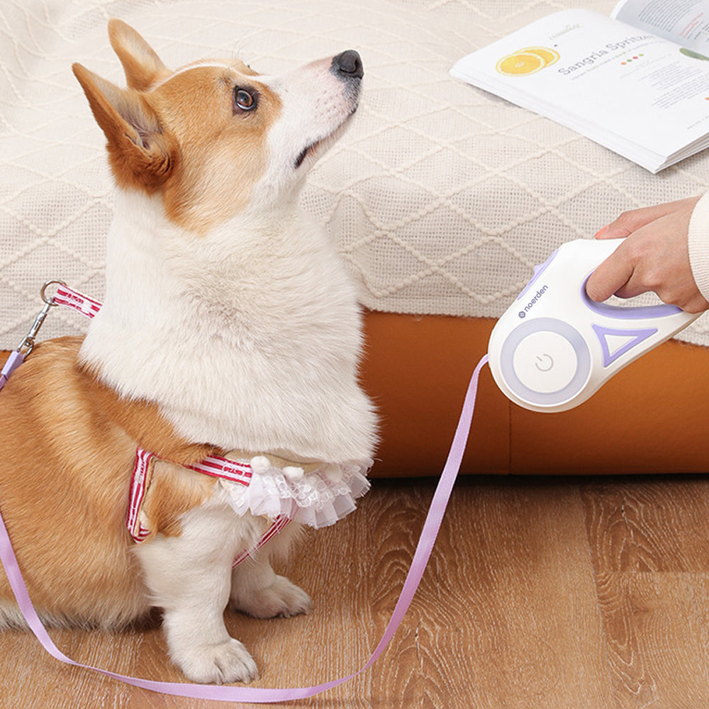 Flexi Leash (LED Retractable Leash)