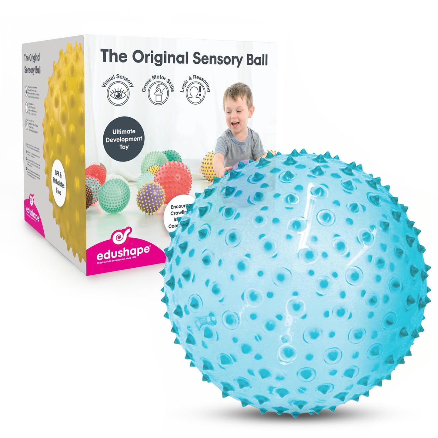 Edushape Sensory Ball for Baby – 7-Inch Transparent Ball to Support Motor Skills (Ages 6+)