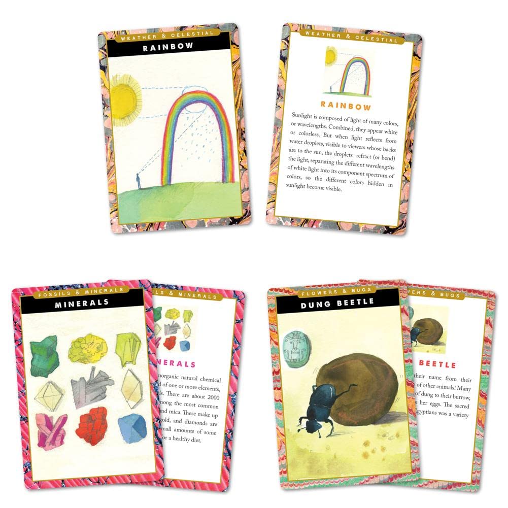 eeBoo Natural and Earth Science Flash Cards | 48-Card Set for Ages 5+