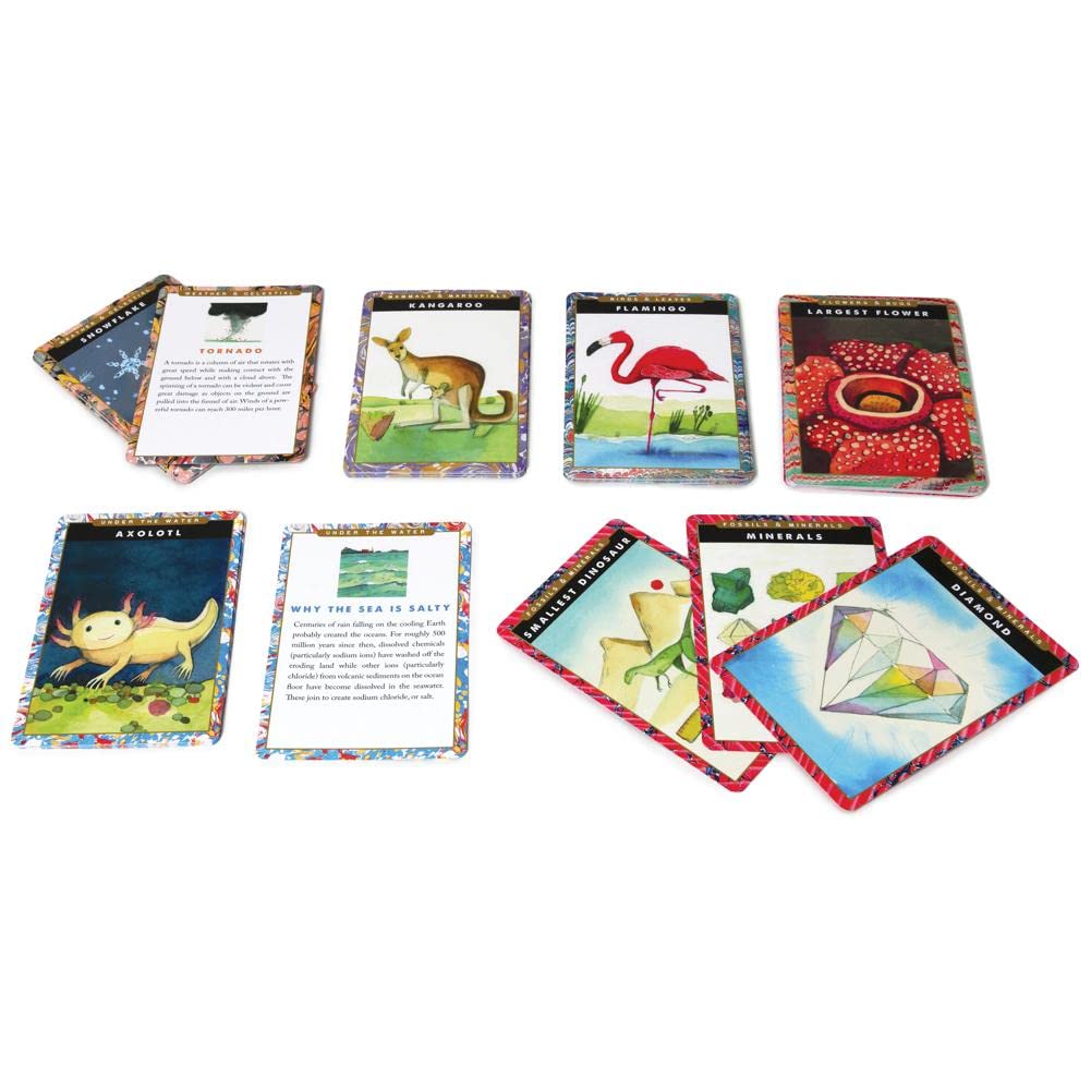 eeBoo Natural and Earth Science Flash Cards | 48-Card Set for Ages 5+