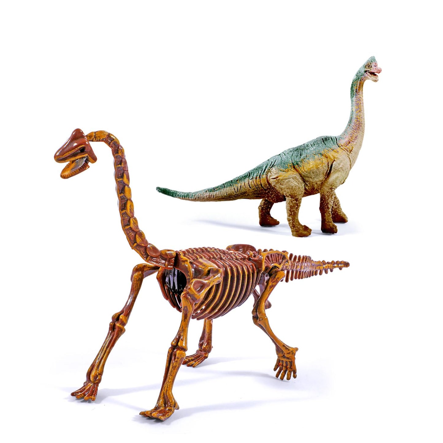 Eggbox Dinosaur Brachiosaurus 2-in-1 Dig & Build Kit – Fossil Digging & Model Display for Kids