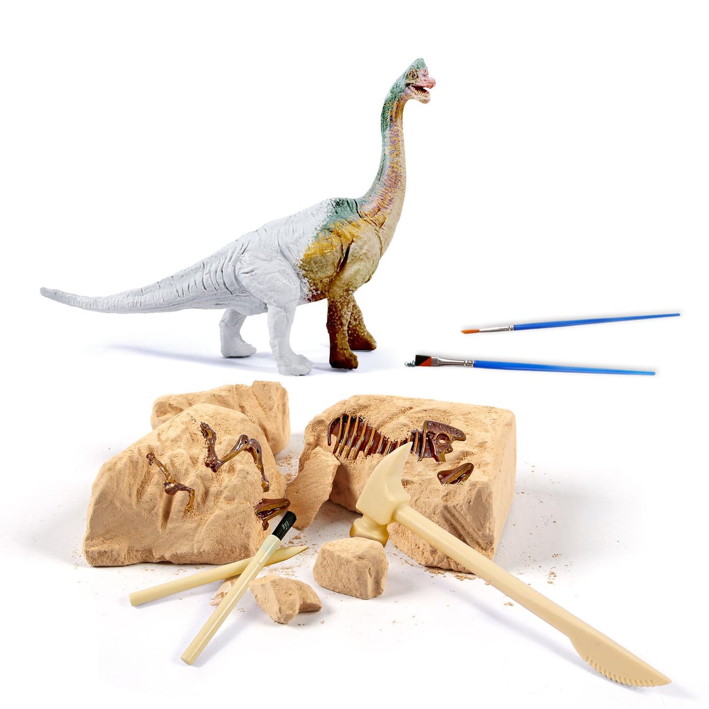 Eggbox Dinosaur Brachiosaurus 2-in-1 Dig & Build Kit – Fossil Digging & Model Display for Kids