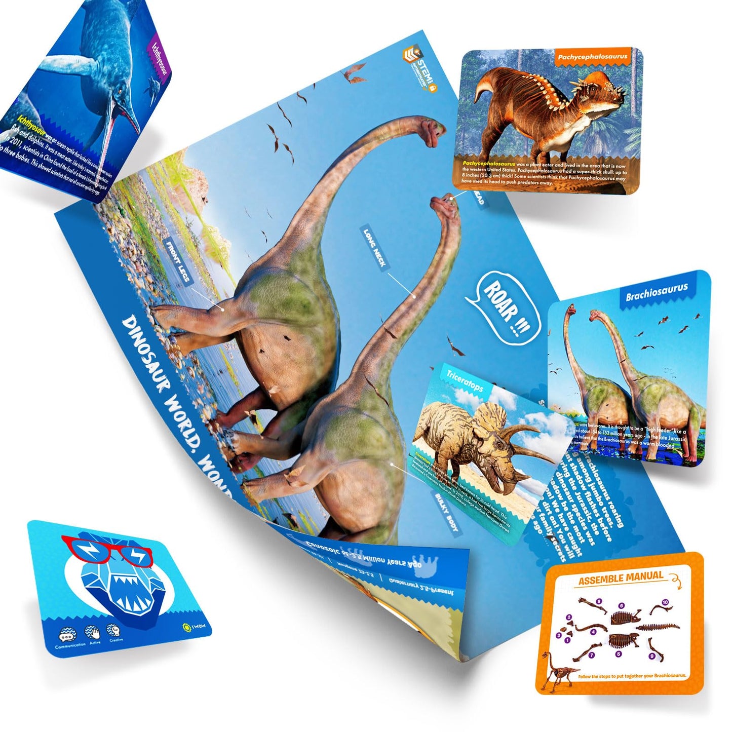 Eggbox Dinosaur Brachiosaurus 2-in-1 Dig & Build Kit – Fossil Digging & Model Display for Kids