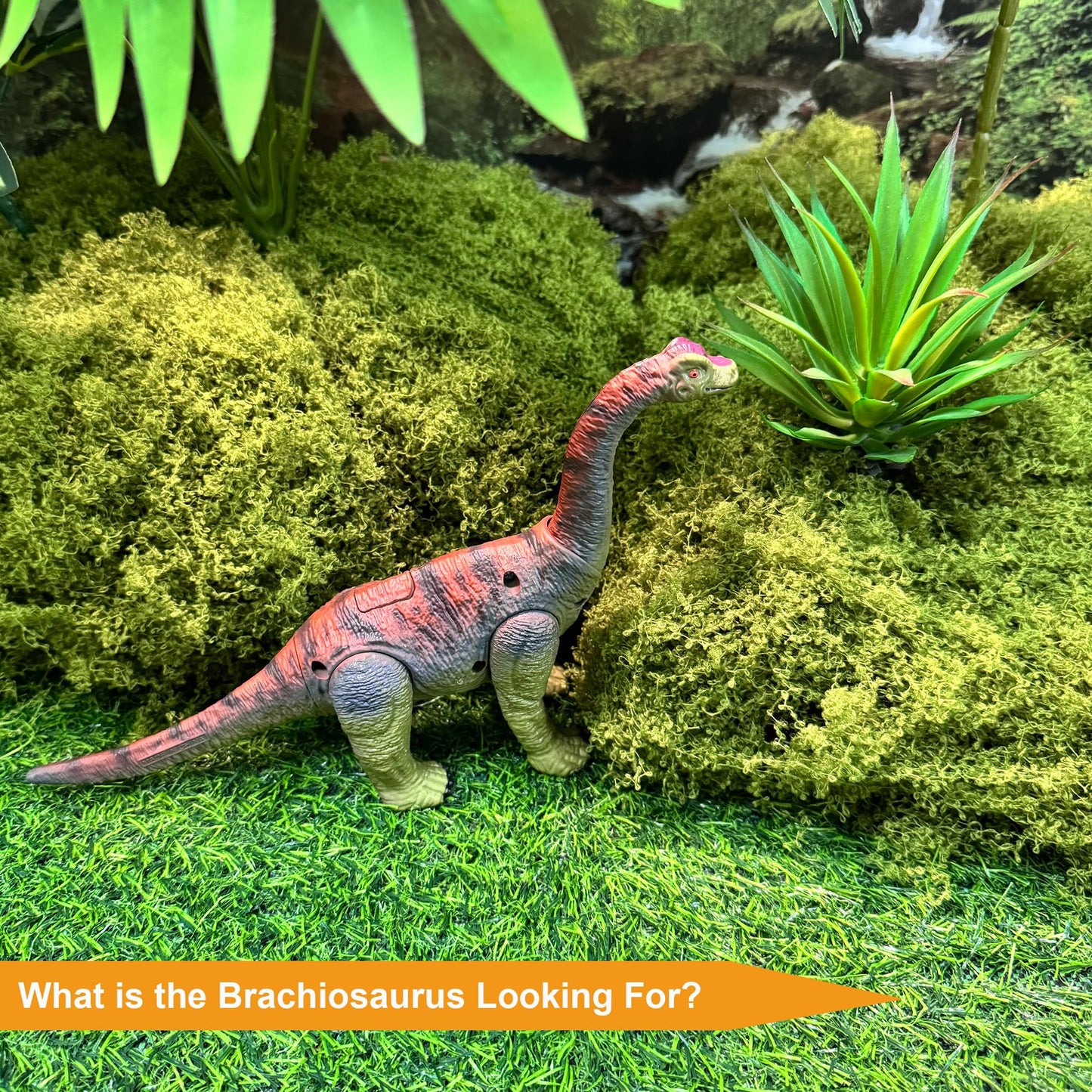 EKU EasyKU Dinosaur Toys: Wing Flapping Pterodactyl, Eudimorphodon, Brachiosaurus & Styracosaurus